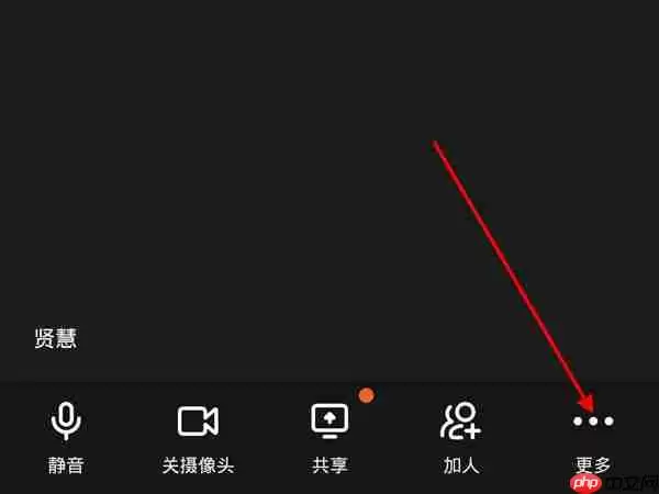 钉钉美颜效果怎么打开