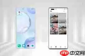 荣耀相册图片为何看不到