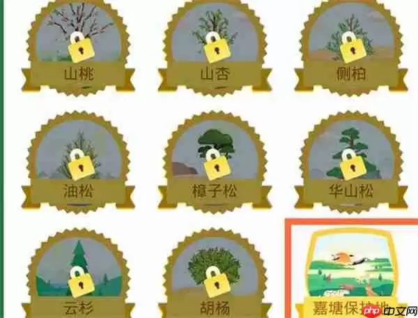 支付宝环保证书在哪里查看