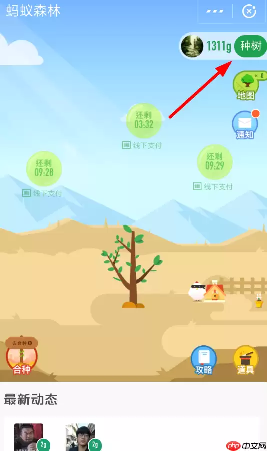 支付宝蚂蚁森林怎么领取保护地？领取保护地的方法说明