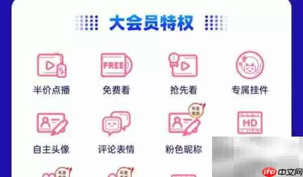 哔哩哔哩大会员和超级大会员区别