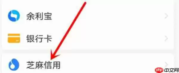 闲鱼怎么解除支付宝的信用授权