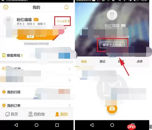 蚂蜂窝自由行APP如何设置背景？蚂蜂窝自由行设置背景的方法分享