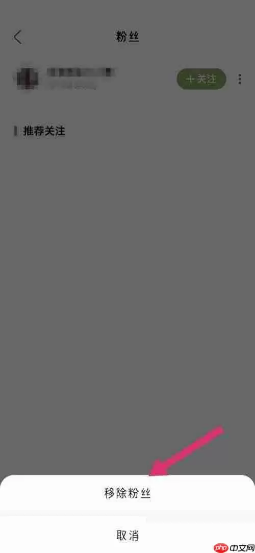 绿洲粉丝怎么移除