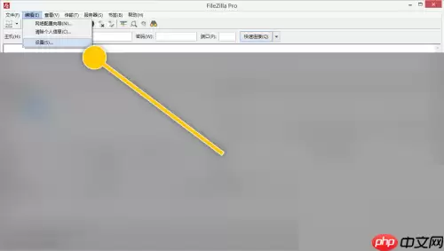 FileZilla怎么使用系统信任存储验证TLS证书？FileZilla使用系统信任存储验证TLS证书教程