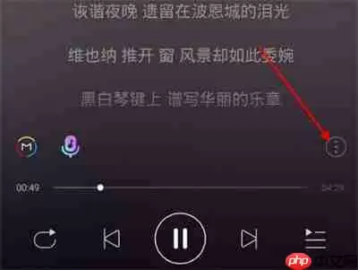网易云怎么调整歌词大小