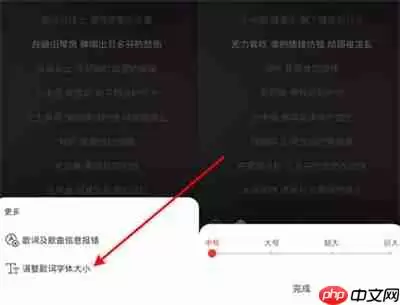 网易云怎么调整歌词大小