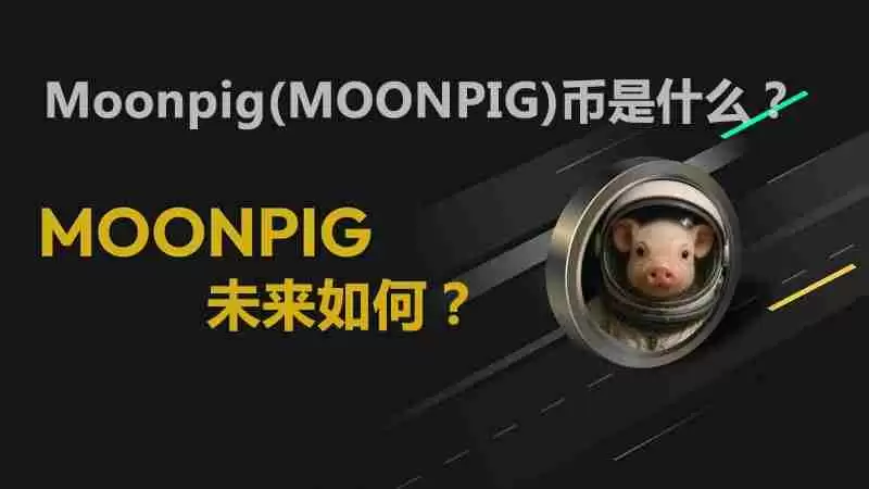 Moonpig(MOONPIG)币是什么?未来如何?MOONPIG价格预测