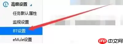 迅雷极速版怎么允许连接DHT网络？迅雷极速版允许连接DHT网络的方法