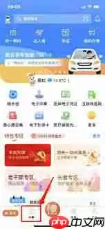 冀时办怎么查询生育津贴