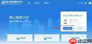 冀时办怎么查询生育津贴