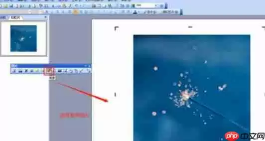 Power Point2003如何裁剪图片？Power Point2003裁剪图片图文教程