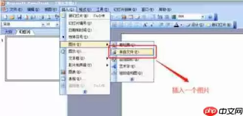 Power Point2003如何裁剪图片？Power Point2003裁剪图片图文教程