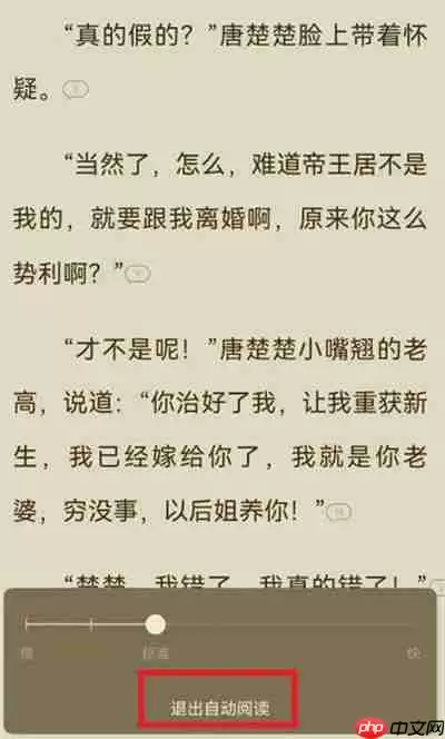 番茄小说自动阅读速度在哪里设置