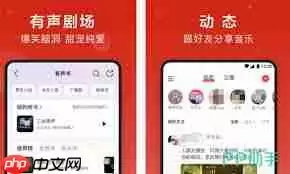 如何选择免费音乐播放器app