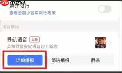 《高德地图》静音模式关闭方法