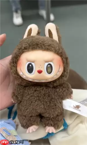 Labubu隐藏款有哪些 labubu隐藏款怎么抽