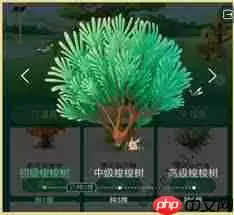 蚂蚁森林如何获取永久树木皮肤