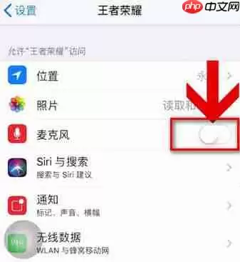 王者荣耀不能语音怎么处理？处理王者荣耀不能语音的方法说明