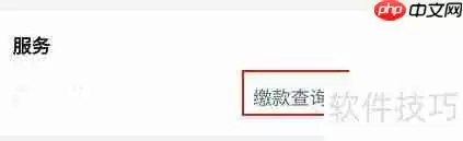 微信查询非税缴款记录的方法