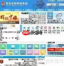 手机税税通申请指南