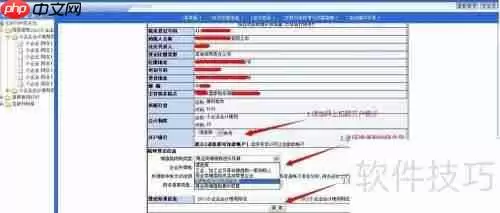 网上申报系统使用前的相关设置与注意事项