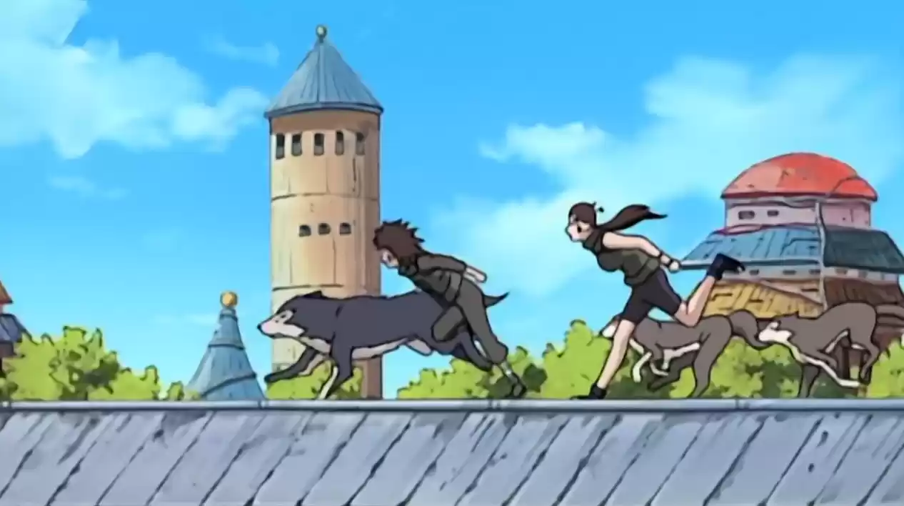 《火影忍者：忍者新世代》一族引以为傲的才女，非常聪明沉着！S忍犬塚花登场！