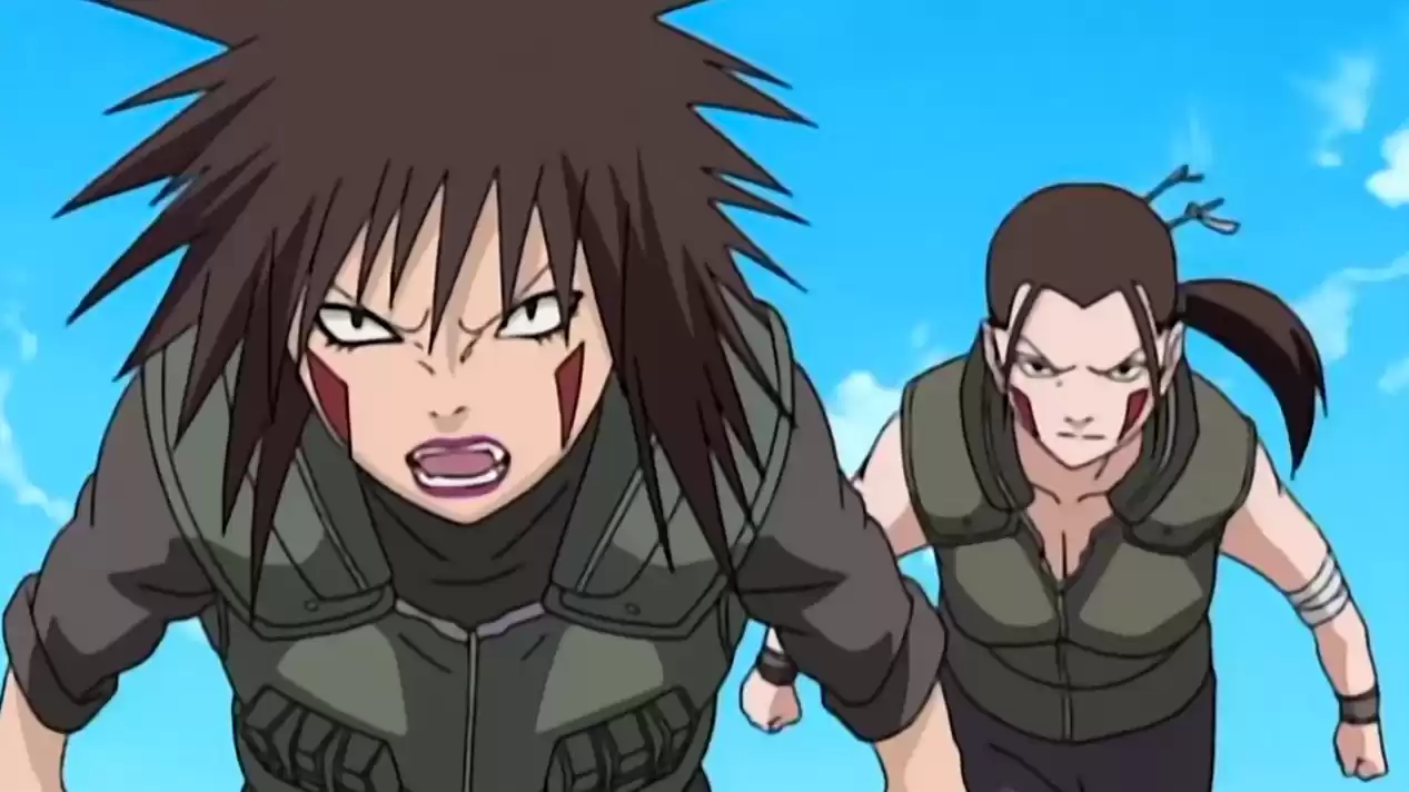 《火影忍者：忍者新世代》一族引以为傲的才女，非常聪明沉着！S忍犬塚花登场！