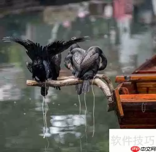 走进周庄三毛茶楼：品味文学与水乡的交融