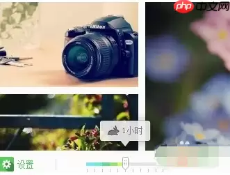 搜狗壁纸怎么设置自动更换功能 设置自动更换功能方式一览