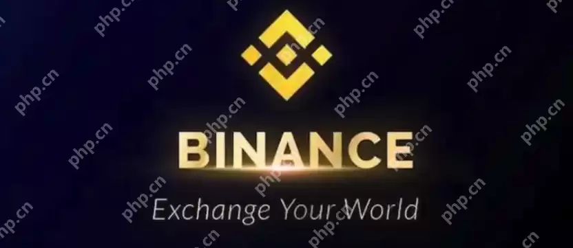 币安交易所网络异常