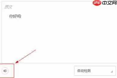 金山词霸怎么设置播放读音？金山词霸设置播放读音方法一览
