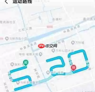 高德地图表白路线在哪里