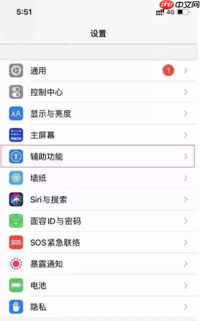 苹果怎么开启来电闪光灯