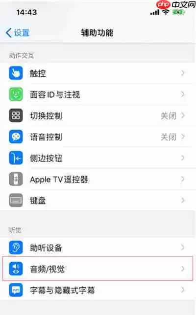 苹果怎么开启来电闪光灯