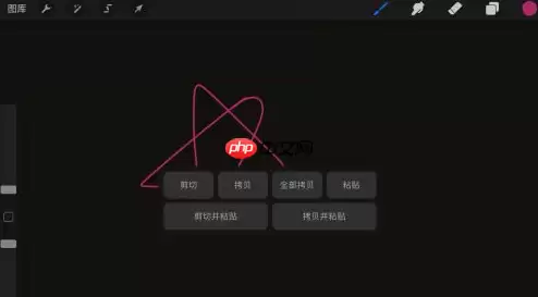 procreate怎么复制局部