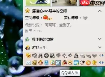 QQ拼音输入法怎么点亮图标 点亮图标操作讲解