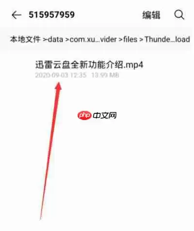 迅雷云盘下载的文件在哪里