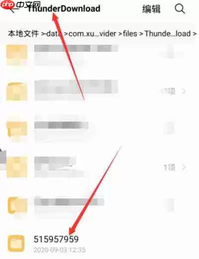 迅雷云盘下载的文件在哪里