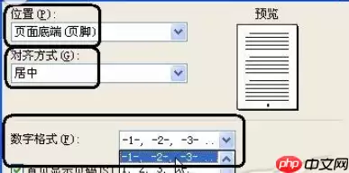 wps2007怎么插入漂亮页码样式？wps2007插入漂亮页码样式步骤分享