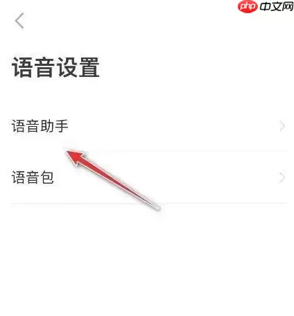 高德地图怎么调节语速 高德地图调节语速步骤分享