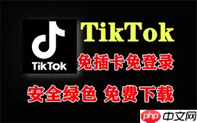 哪里有免费入口Tiktok
