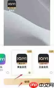 如何设置爱奇艺桌面图标