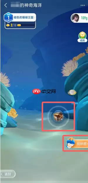 支付宝蚂蚁海洋拼图怎么获得