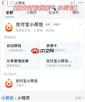 支付宝小荷包情侣自动攒是两个人都自动扣吗 支付宝小荷包情侣情侣攒钱怎么设置两个人扣钱