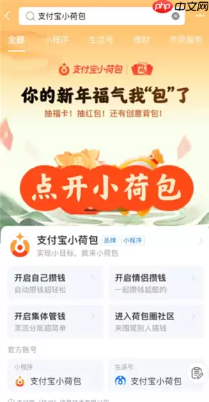 支付宝小荷包情侣自动攒是两个人都自动扣吗 支付宝小荷包情侣情侣攒钱怎么设置两个人扣钱