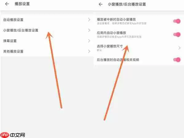 b站悬浮窗大小如何调整