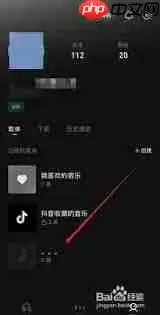 汽水音乐如何删除自建歌单-汽水音乐怎样删除创建的歌单