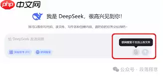 deepseek网页版上传不了附件怎么办