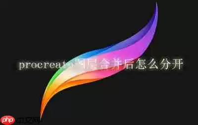 procreate图层合并后怎么分开